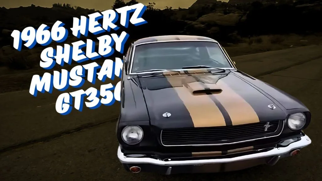 1966 Hertz Shelby Mustang GT350