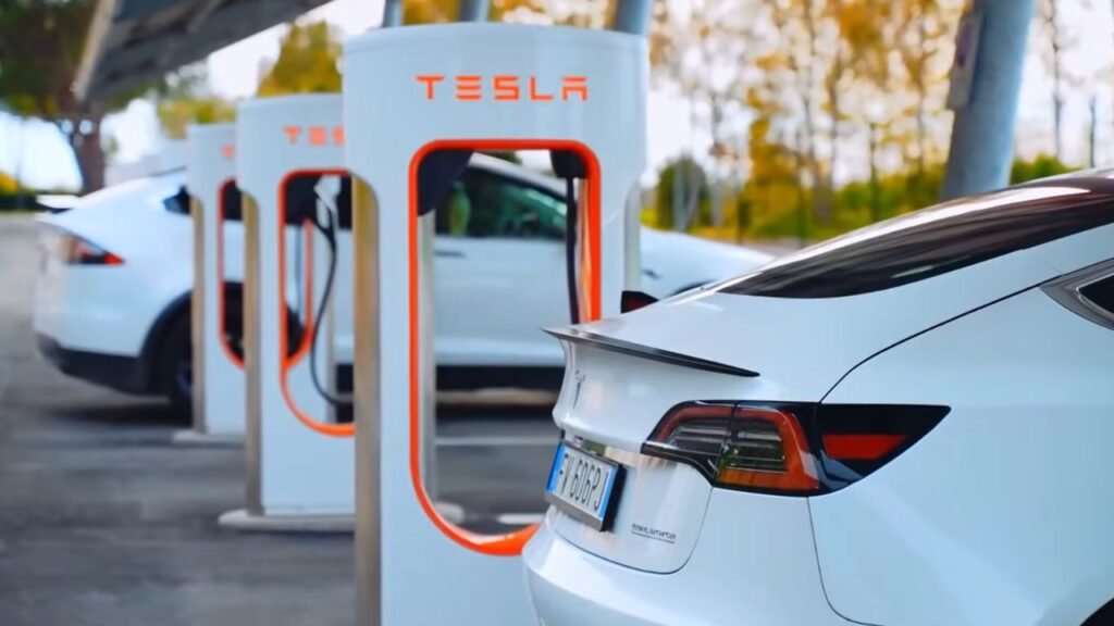 Competitors: The Race for Affordable EVs