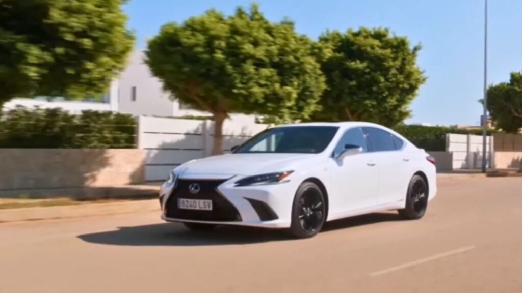 The Black Line Special Edition