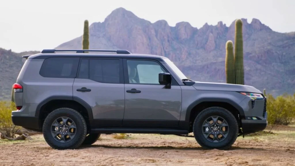 Side Profile: Boxy and In-Vogue